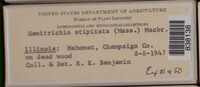 Image Associated With the Occurence